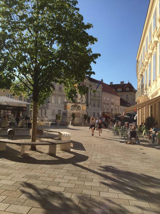 Terrasse Wohnungen Mit Parking In Zentrum Баден Экстерьер фото